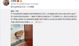 嚣张哥事件的最新爆料,最新爆料揭露惊人内幕