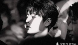 2025肖战王一博最新爆料,揭秘双星闪耀背后的故事