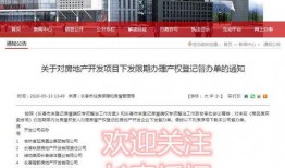 长春爆料官方公告最新,最新动态一览无余