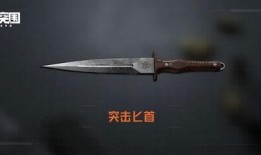 暗区突围最新刀皮爆料,全新刀皮爆料，神秘力量即将觉醒！