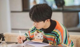 红料不打烊最新爆料视频,最新爆料视频深度解析