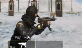 和平精英最新武器爆料,神秘爆料揭示未来战场新势力