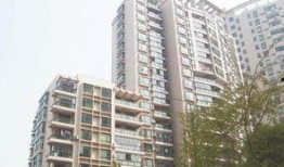 龙兴嘉苑爆料案件最新,揭秘背后惊人真相，疑云重重引关注