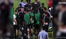 南京球迷爆料视频最新版,揭秘赛场幕后风云