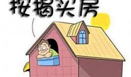 牛哥爆料买房最新,买房新趋势，揭秘2023年购房攻略