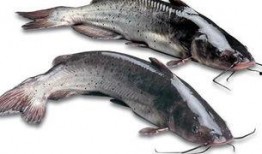 落汤鱼最新爆料图片大全,高清图片大揭秘