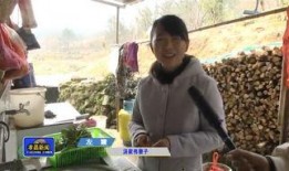 孝昌最新事件大爆料,真相与幕后黑幕全曝光